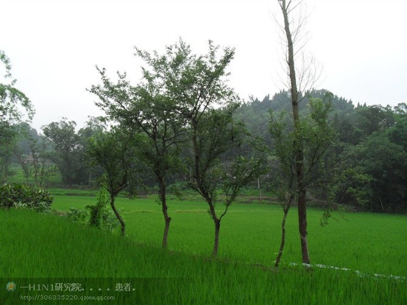 袁家村